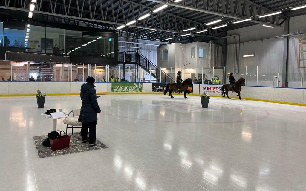 Tävling i istölt med föreningen Jórs isländshästar från Björketorp.