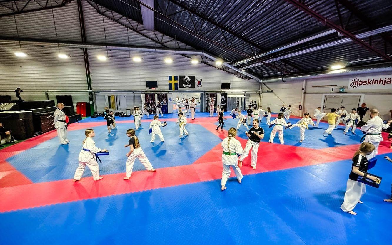 Marks Taekwondoklubb tränar.